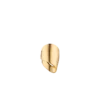 Éole Draped Ring Edition, 24-Karat-vergoldet